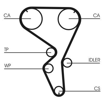 CONTINENTAL CTAM CT1101K1 | Triger Tk 03-206-307-1007-C2-C3-C4 1.4 16V
