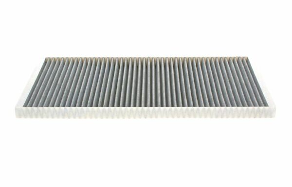 BOSCH 1987432425 | Polen Filtresi 00-X5 (E53)