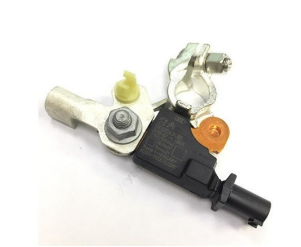 Citroen C4 2009-2014 B7 Eksi Kutup Başı Orjinal
