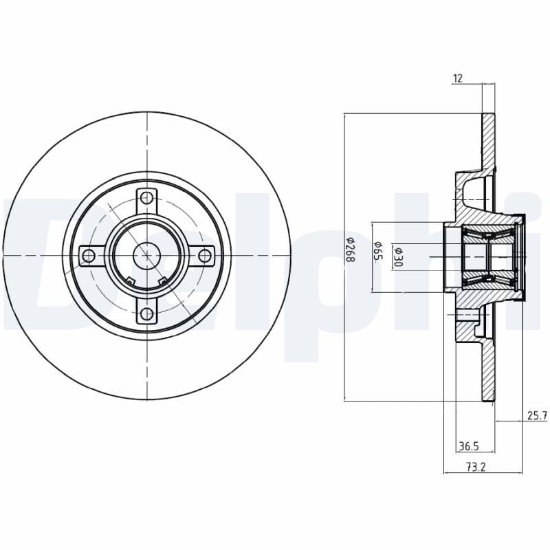 DELPHI BG9053RSC | Disk + Rulman Arka (Ad) 08-Partner-Brl-C4.Pcs 1.6Hdi (1.Disk + 1.Rulman) Kaplamalı | 1 Adet