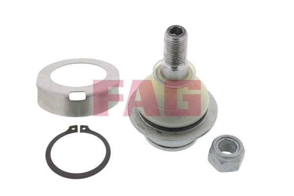FAG 825010410 | Rotil (Ford Transit V184 01-06 / V347 06-12 / Connect 02-13 / V362 Custom 12-16)