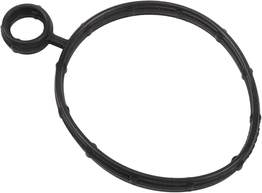 PSA 55597152 | Vakum Pompa Contası