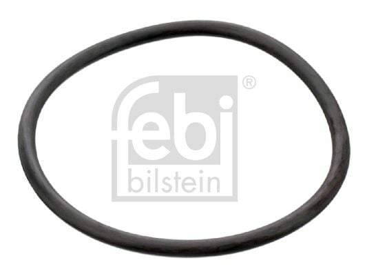 FEBI BILSTEIN 17964 | O Rıng Termostat İçin Bora (1J) Bora 4 Motıon (1J) Corrado ( | 10 Adet