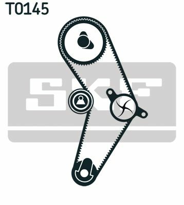 SKF VKMC01113-2 | Triger Tk + Devirdaim 96-02 Passat-Golf.IV-Bora 2.0İ 8V *138Dıs*