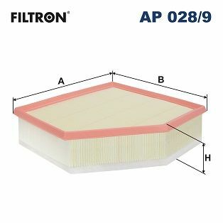 FILTRON AP028-9 | Hava Filtresi (Bmw