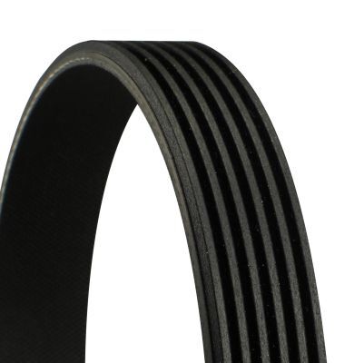 CONTINENTAL CTAM 6PK1440 | V Kayışı 02 > Accent-Getz 1.5Crdi