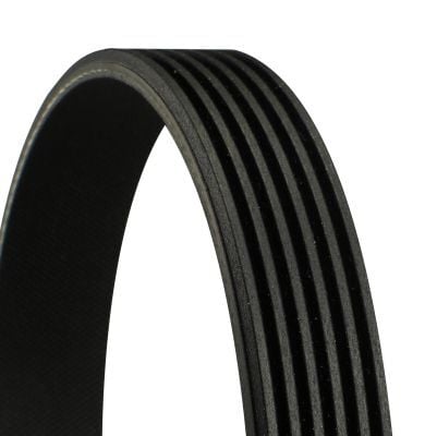 CONTINENTAL CTAM 6PK1440 | V Kayışı 02 > Accent-Getz 1.5Crdi
