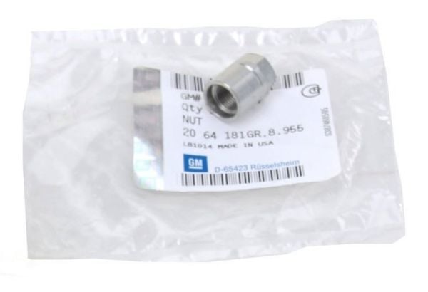 PSA 13581557 | Opel Astra J Lastik Basınç Sensör Somunu