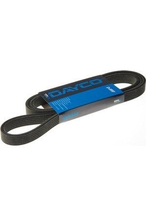DAYCO 6PK1920 | Ford Focus 2002-2005 1.6 Zetec Se (Benzinli) V Kayısı