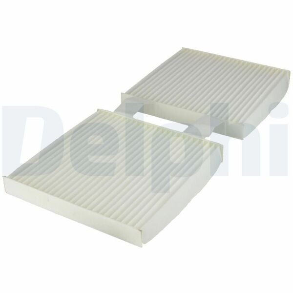 DELPHI TSP0325343 | Polen Filtresi 11-X3 (F25) X4 (F26)