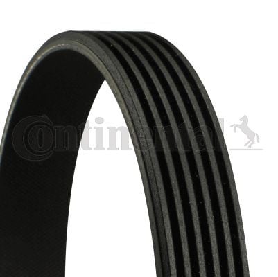 CONTINENTAL CTAM 6PK1880 | V Kayışı Vectra.C-Sıgnum 2.0-2.2Dti