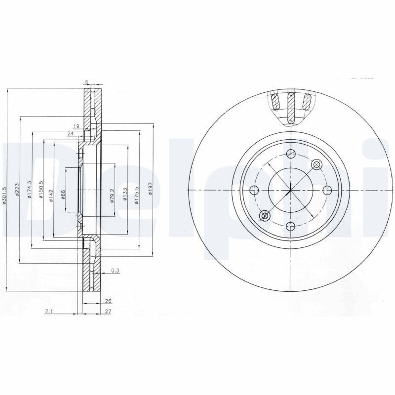 DELPHI BG4002 | Disk On 07-Pt.207-C4.Picasso Kaplamalı | 1 Adet