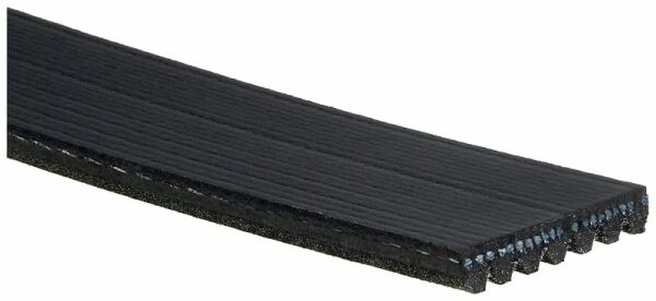 GATES 7PK1793 | V Kayışı 02 > Master-Mvn 2.5 DCI + Ac