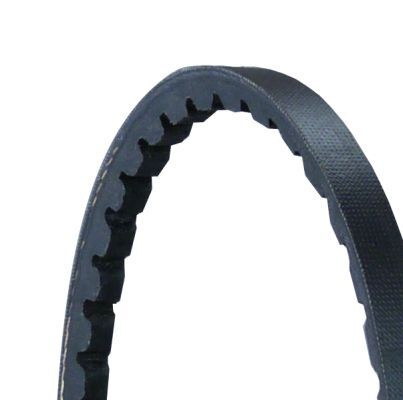 CONTINENTAL CTAM AVX10X710 | Contınental Ctam / Kayış V