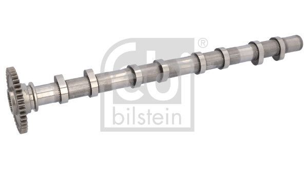 FEBI BILSTEIN 184903 | BMW F20-F30-F10 N47n-B47 Egsoz Eksantrik Mili 11318575438