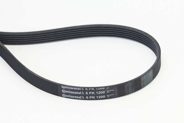CONTINENTAL CTAM 6PK1200 | V Kayışı 04 > Clio-Kng-Mgn-Lgn-Log 08 > Partner