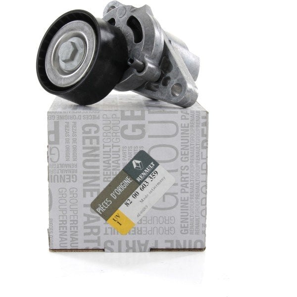 MAIS 8200603359 | Renault Megane 3 2010-2015 Benzinli Alternatör Gergi Rulmanı Orijinal