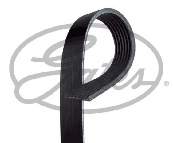GATES 7PK1600 | Renault Clio 4 2012-2020 0.9 tCe 1.2 tCe Benzinli Alternatör Kayışı 7 Pk 1600