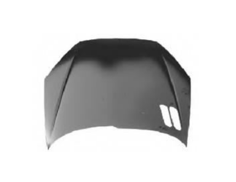 REPPA 17901K1 | Motor Kaputu 206