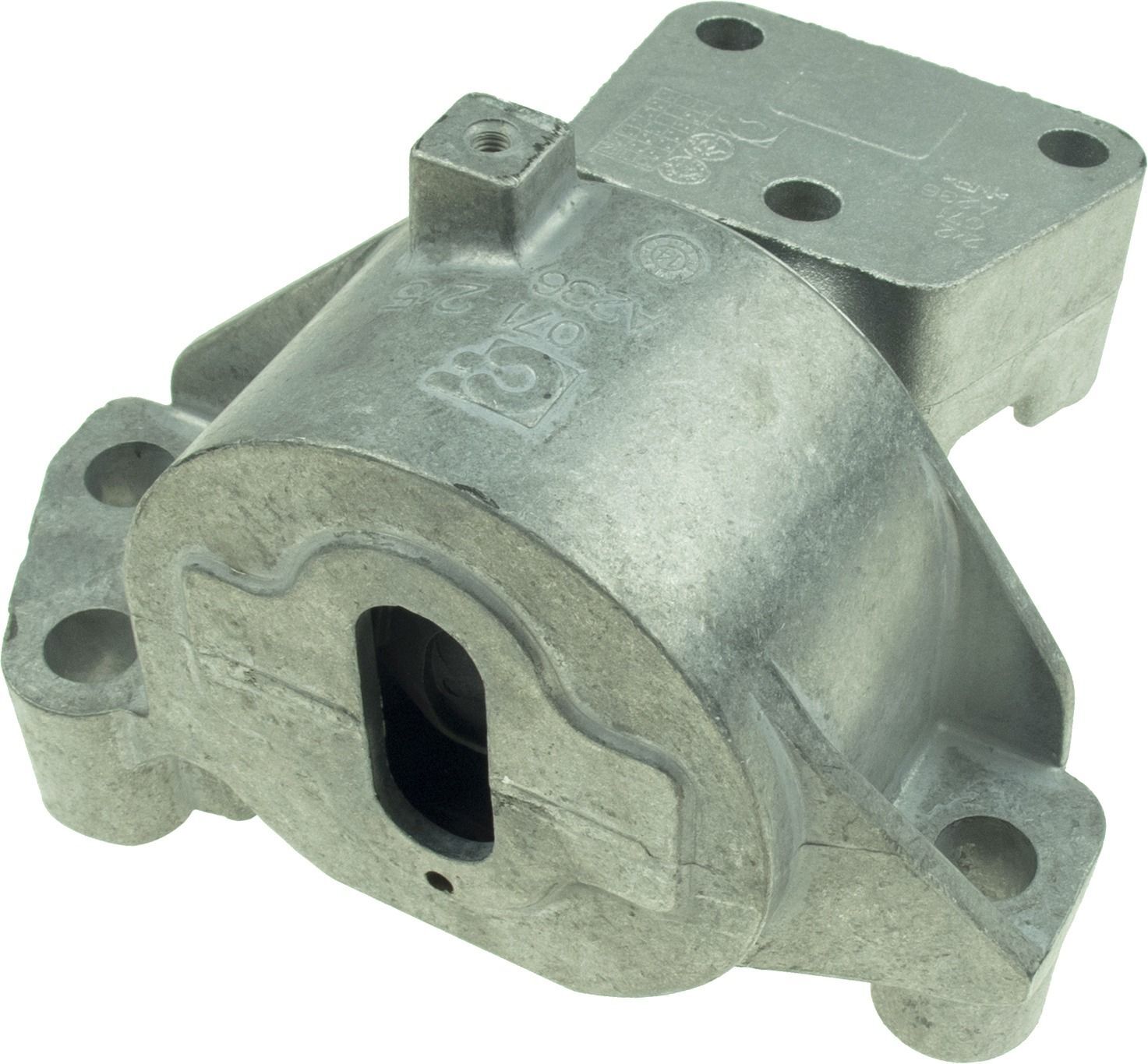 RAPRO R52570 | Motor Takozu Fiorino 1.3 Mjtd 07-Euro 5 (Orjınal)