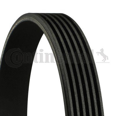 CONTINENTAL CTAM 6PK1065 | V Kayışı 07-BMW 3-Seri