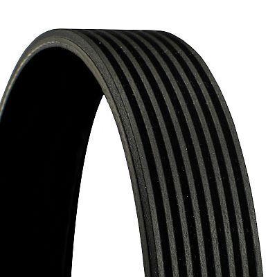 CONTINENTAL CTAM 8PK1395 | BMW F80 M3-F82 M4 V-Kayışı 11287848605