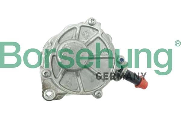 BORSEHUNG B12527 | Vakum Pompası Mercedes Om651 Motor 204-205-212-117-246-176-Spr. 907-910 / Jeep (Kutuiçipıerburg 7.02551.21.0) 2010 >