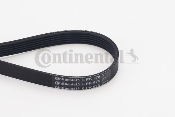 CONTINENTAL CTAM 6PK976 | V Kayışı 05-Peugeot-Cn-Fd-Ma-Vo 1.6Hdi