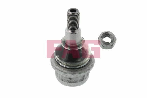 FAG 825012110 | Alt Rotil (Mercedes W211-W215-W219-W220-W230)