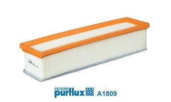 PURFLUX A1809 | Hava Filtresi 14-C-Seri (C180-C200)