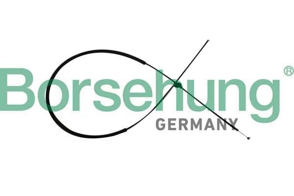 BORSEHUNG B10782 | Motor Kaput Kilidi Audi A6 / A7 Tek Parça