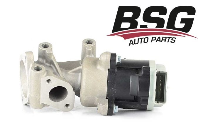 BSG 15-836-002 | Land Rover Range Rover Sport 2.7 D Egr Valfi Sağ