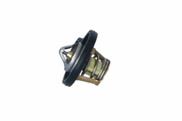 NRF 725094 | Mini Cooper R50-R53 Termostat 11537596787