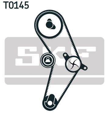 SKF VKMC06005 | Triger Tk + Devirdaim 96-08 Clio-Kng-Mgn 1.4 *96Dıs*