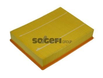 PURFLUX A1210 | Hava Filtresi 05-Range Rover-Discovery 2.7Td-3.0Td