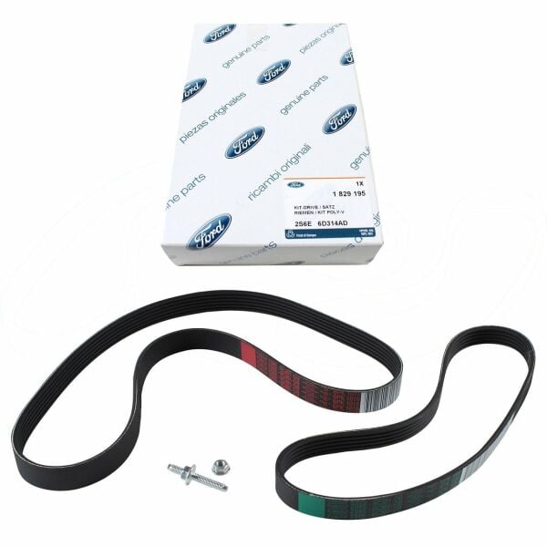 FORD OTOSAN 2S6E6D314AD | Fiesta 2002-2008 1.6 Benzinli V Kayıs Seti (2 Adet Kayıs)