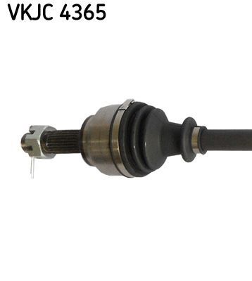 SKF VKJC4365 | Aks Sağ Komple Peugeot Pp206 Tu5jp4 16 16V Pp306 Ym Tu3jp Tu5