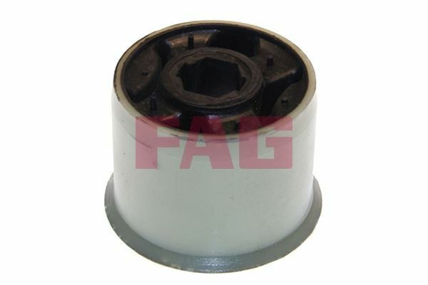FAG 829031810 | Salıncak Burcu Travers Takozu Arka Polo 02-10 Cordoba 06-09 Fabia 00-10 Roomster 06-10
