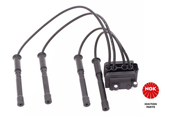 NGK 48007 | Ateşleme Bobini U6036