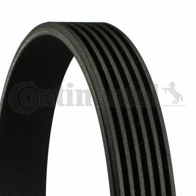 CONTINENTAL CTAM 6PK1755 | VW Lt-T4 2.5 TDI V Kayışı 037145933A