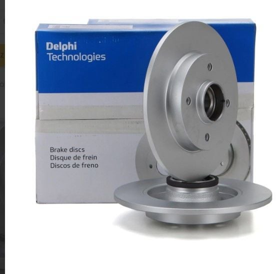 DELPHI BG9410RSC | Citroen C3 2018-2021 Arka Fren Disk Takımı