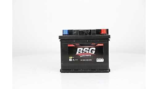 BSG 99-997-005 | Akü (12V 50Ah L1b Düz Mf Exmet Ind Sulu) 207X175x175 (460) Soguk Mars Akımı