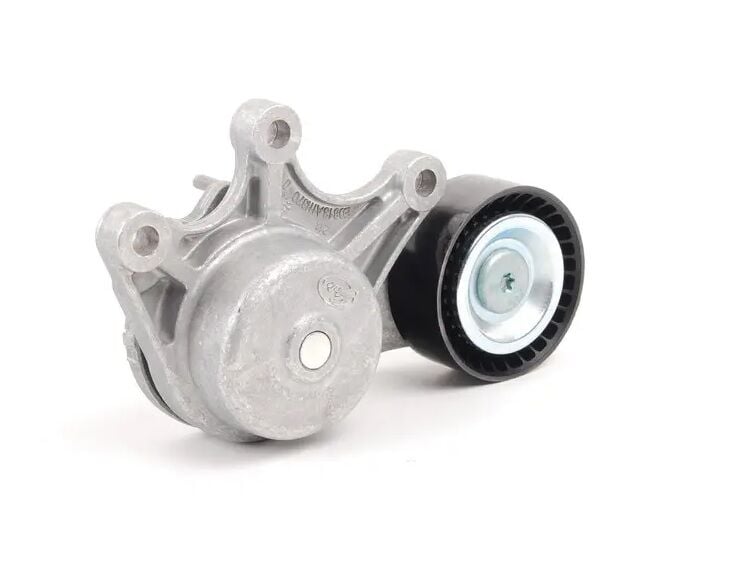 INA 534053510 | Bmw F10 Kasa 520i N20 Motor Kayış Gergi Kütüğü Komple