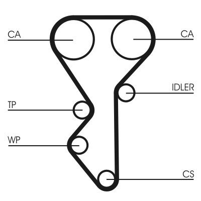 CONTINENTAL CTAM CT955 | Triger Kayışı 306-406 1.8-2.0 16V