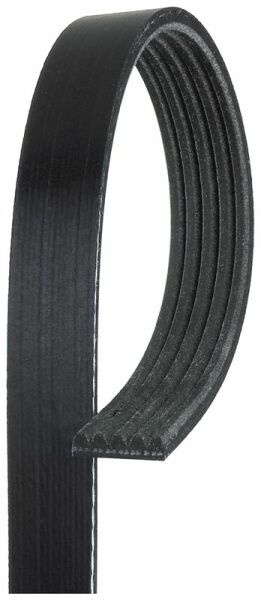 GATES 5PK1510 | V Kayışı 13-A-Seri (W176) B-Seri (W242-W246)