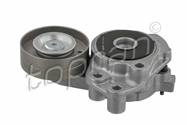 TOPRAN 113913 | V Kayış Gergisi-Komple (VW Golf 06-14 Passat 09-15 Polo 10-14 Seat Ibiza 09-15) Blg-Bmy-Cavd