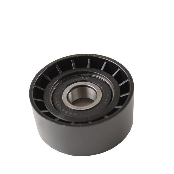 ORS PK6203 | Renault Symbol 2006-2008 Dizel V Kayış Gergi Rulmanı