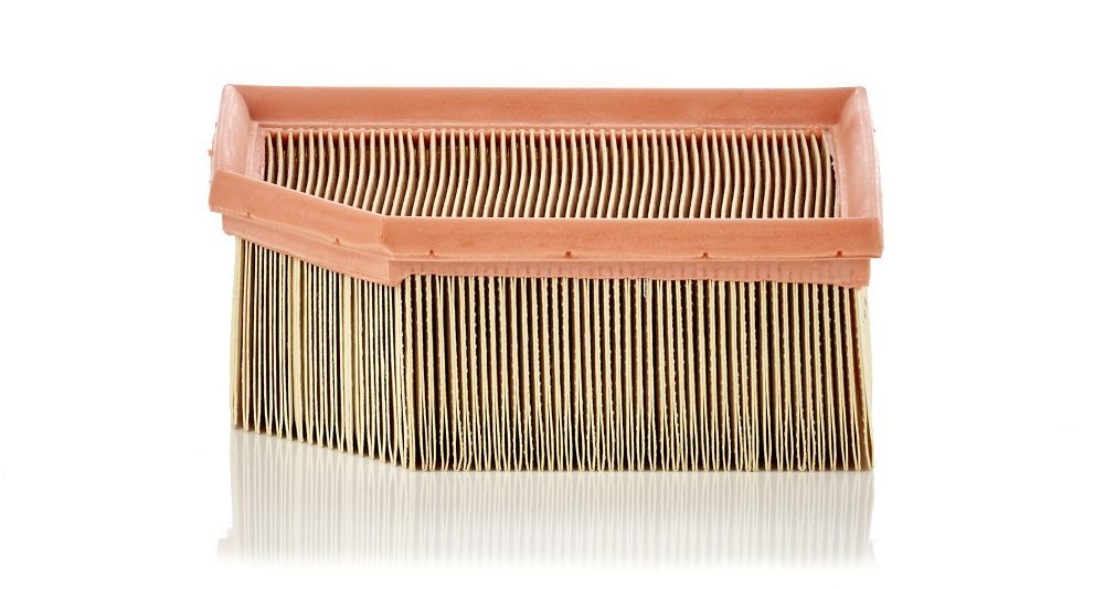 MANN C1995 | Hava Filtresi Citroen