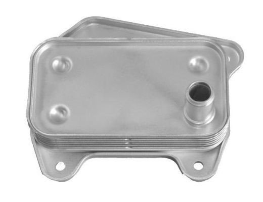 MAGNETI MARELLI 359001602600 | Mercedes Benz Vito W639 Euro 4 Motor Yağ Soğutucusu Marelli Marka