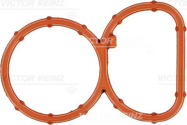 Reinz 71-39378-00 Guarnizione Collettore Aspirazione In Gomma FPM Per BMW D3 Biturbo